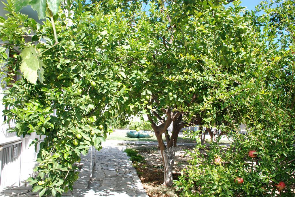Kostas Family House Apartment Kato Assos Luaran gambar