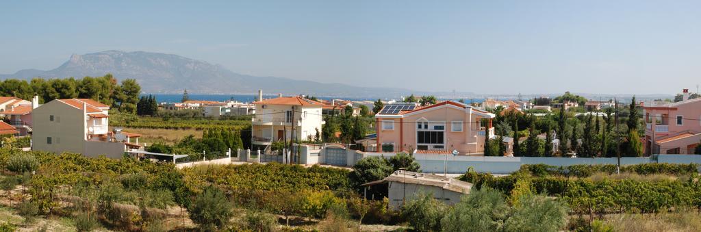 Kostas Family House Apartment Kato Assos Luaran gambar